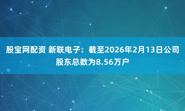 股宝网配资 新联电子：截至2026年2月13日公司股东总数为8.56万户